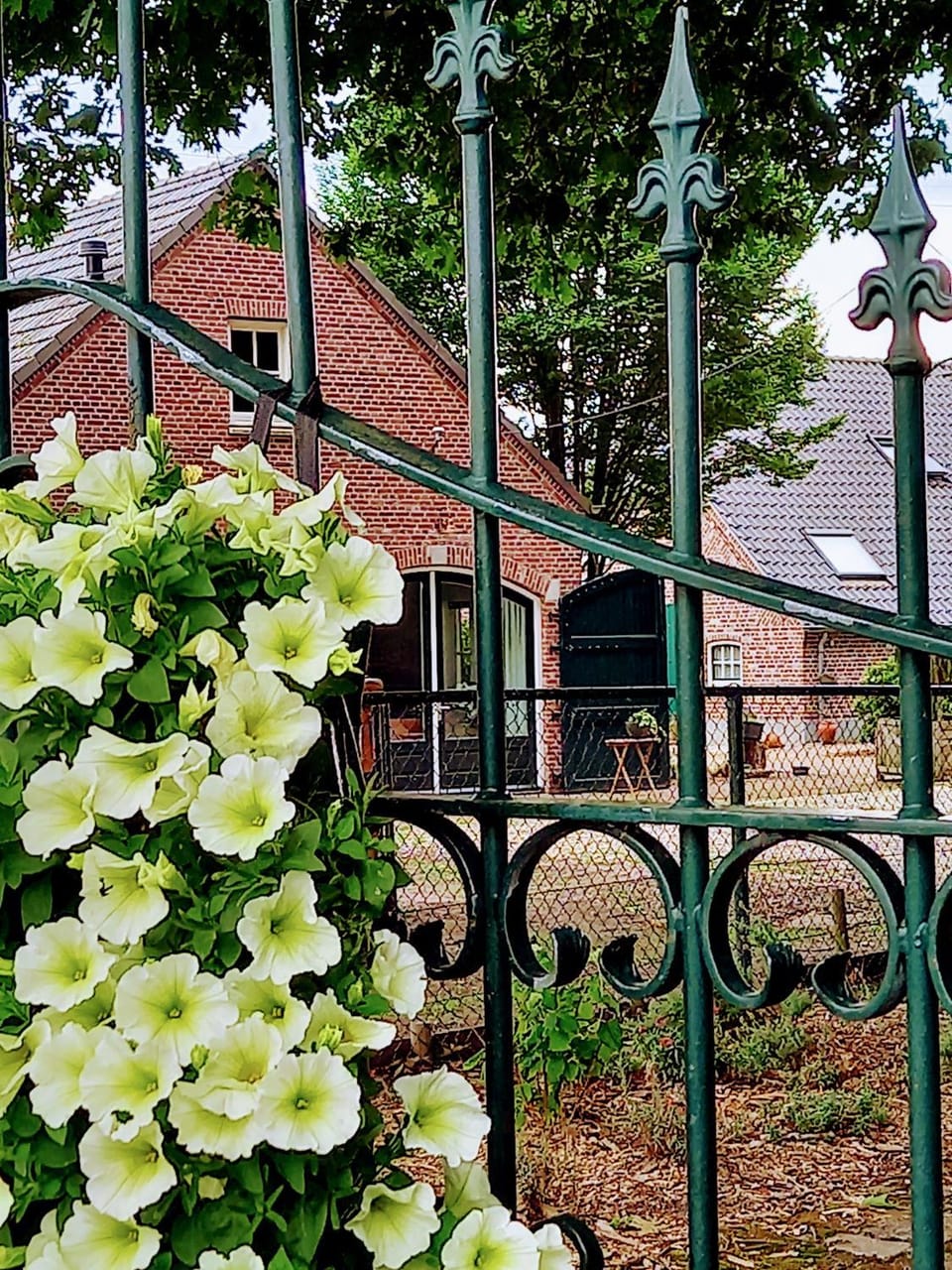 mooie familie groepsaccomodatie aan de bosrand House in Limburg (province)
