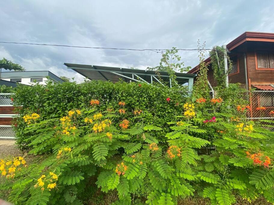 Beautiful studio-apartment near the beach Apartment in Uvita