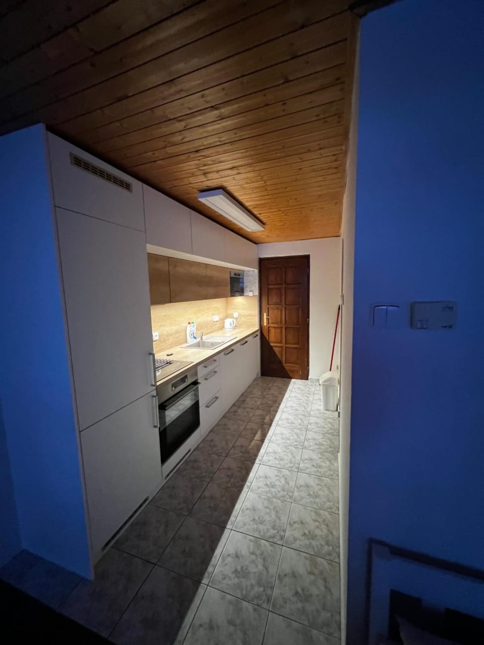 Kitchen or kitchenette, minibar, pet friendly, stove