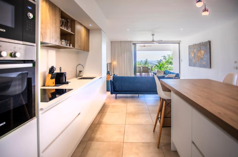 Kitchen or kitchenette, Living room, Seating area, Dining area, dishwasher, oven, stove