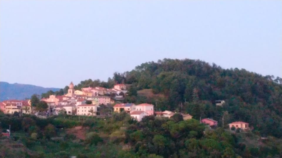 Natural landscape