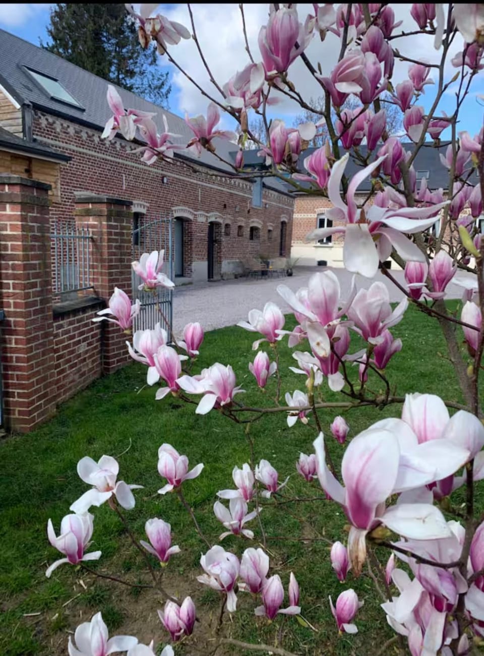 Property building, Garden, Garden view