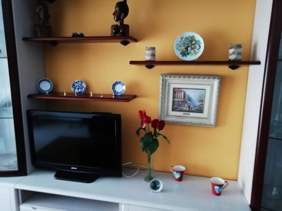 TV and multimedia