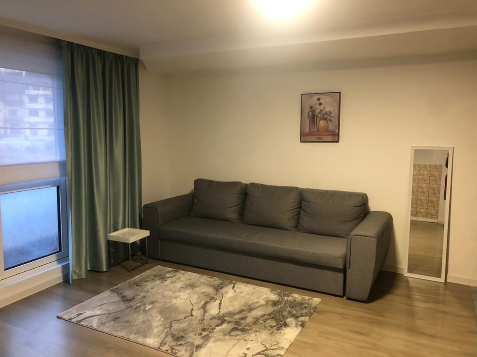 Bradul Vacation rental in Romania