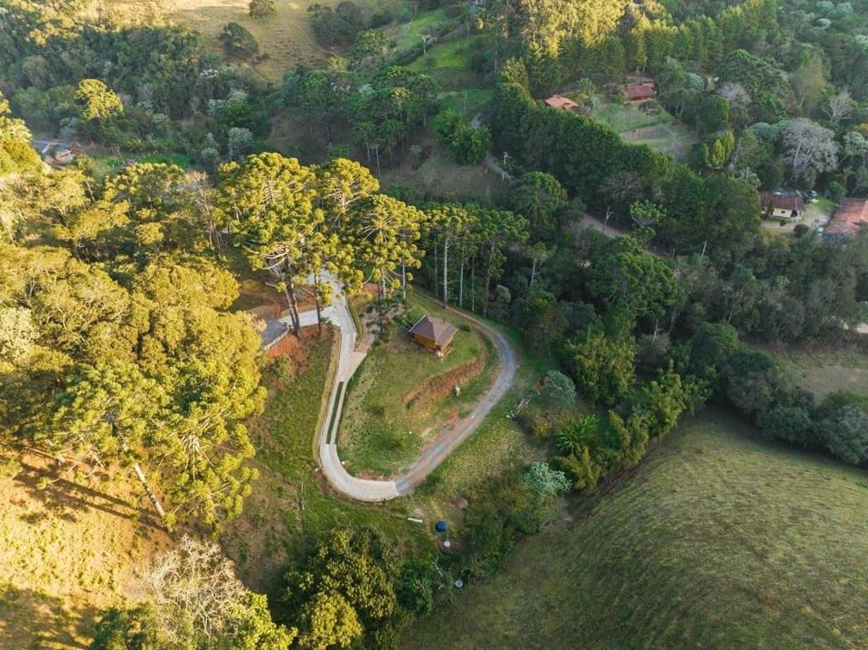 Cabana Dentro da Floresta- Chalés Perpétua Natureza House in State of São Paulo