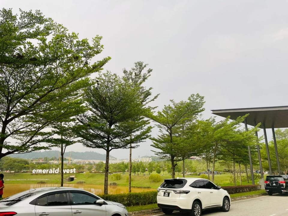 Garden view