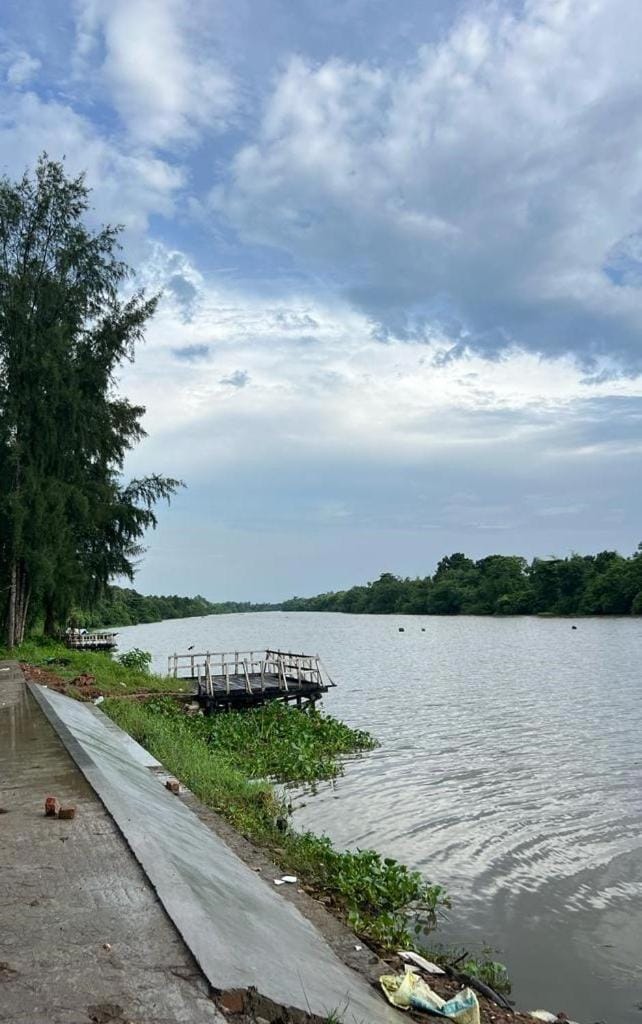 Natural landscape, River view