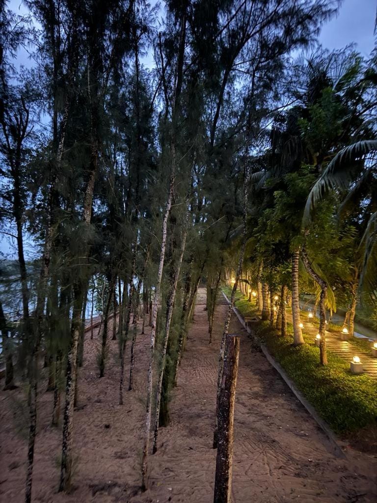 Natural landscape