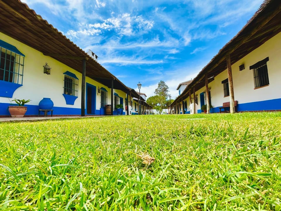 Garden, Area and facilities