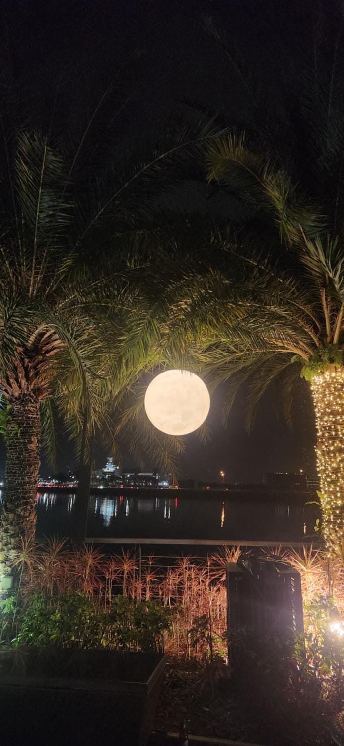 Night, Natural landscape