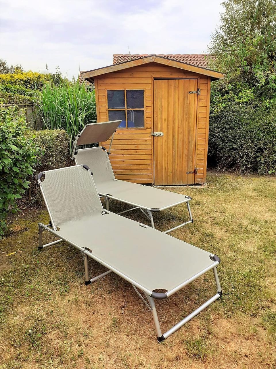Garden, sunbed