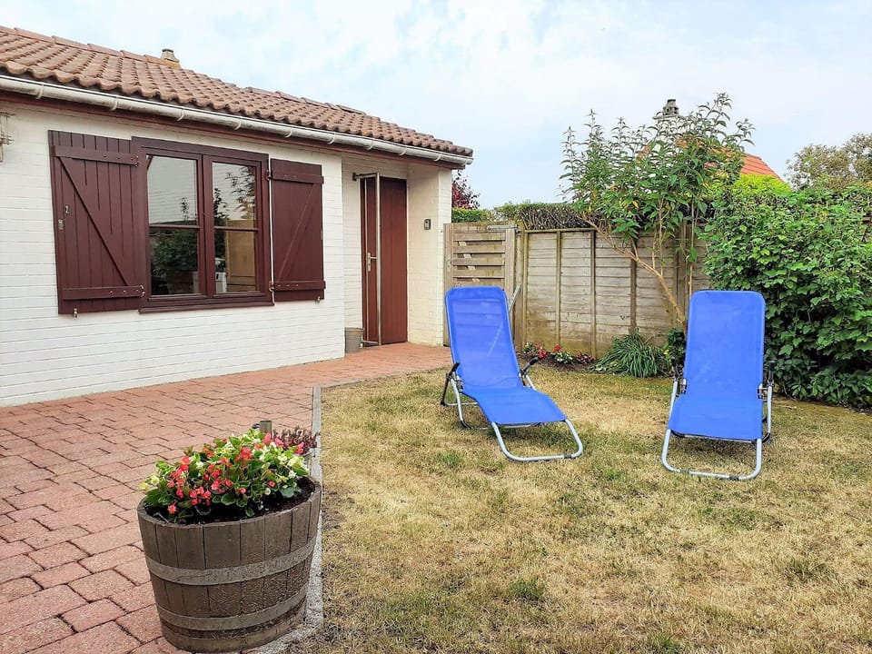 Garden, Garden view, sunbed