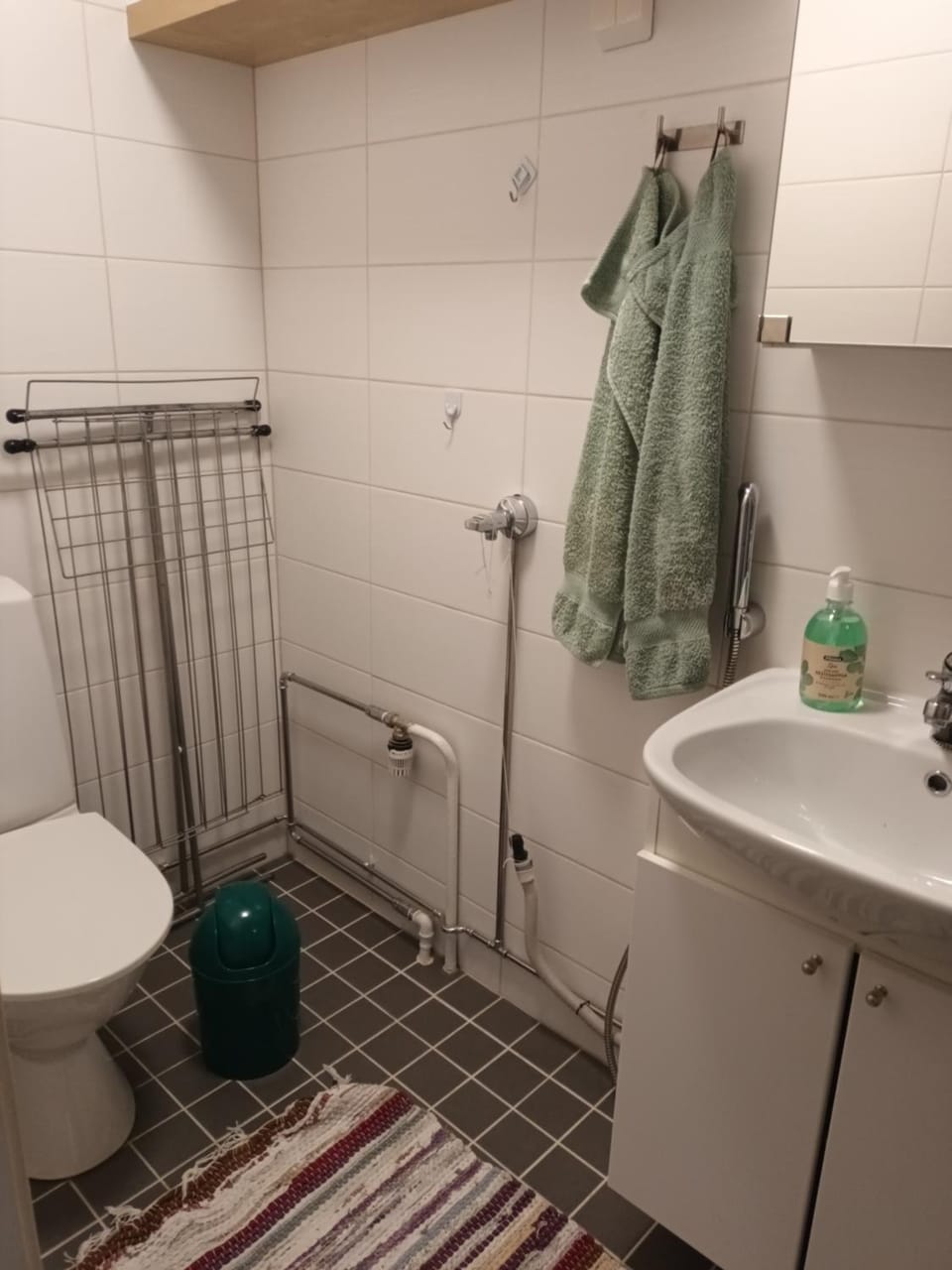 Saunallinen yksiö, 4 vuodepaikka Apartment in Finland