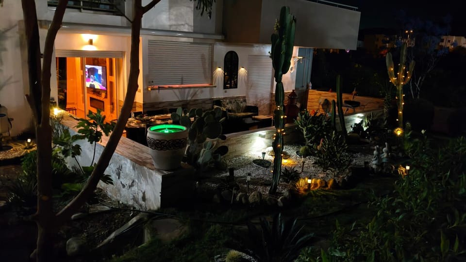 Night, Garden, Garden view