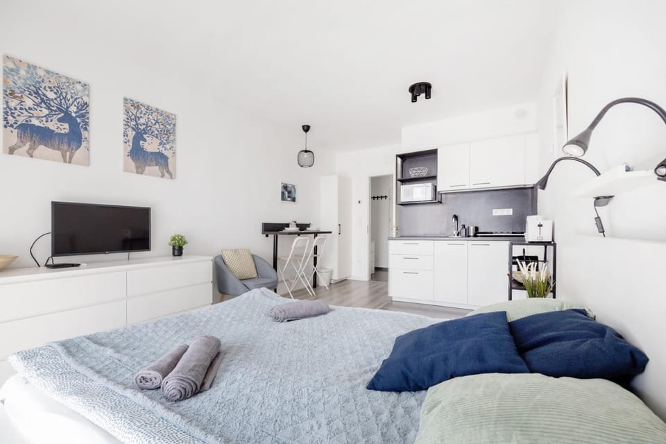 Bed, TV and multimedia, Dining area, wardrobe
