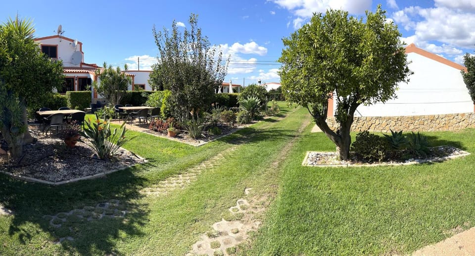 Day, Natural landscape, Garden, Garden view