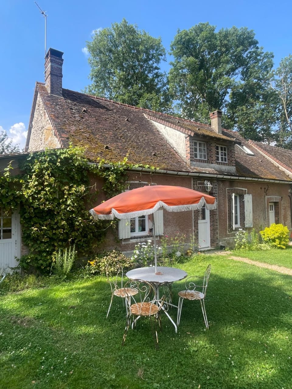 Property building, Garden