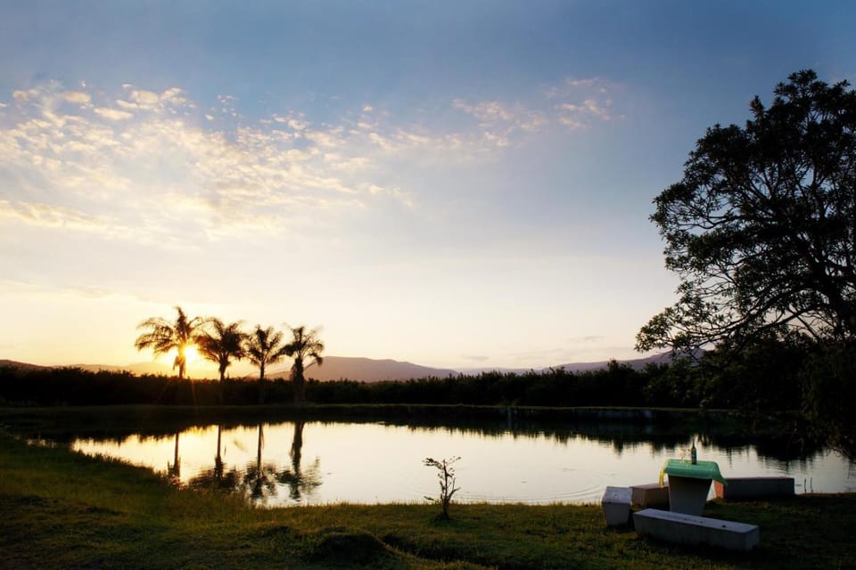 Natural landscape, Summer, View (from property/room), Other, On site, Area and facilities, Area and facilities, Entertainment, Sunset