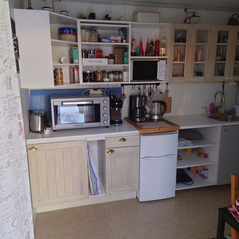 Kitchen or kitchenette, minibar, pet friendly, stove