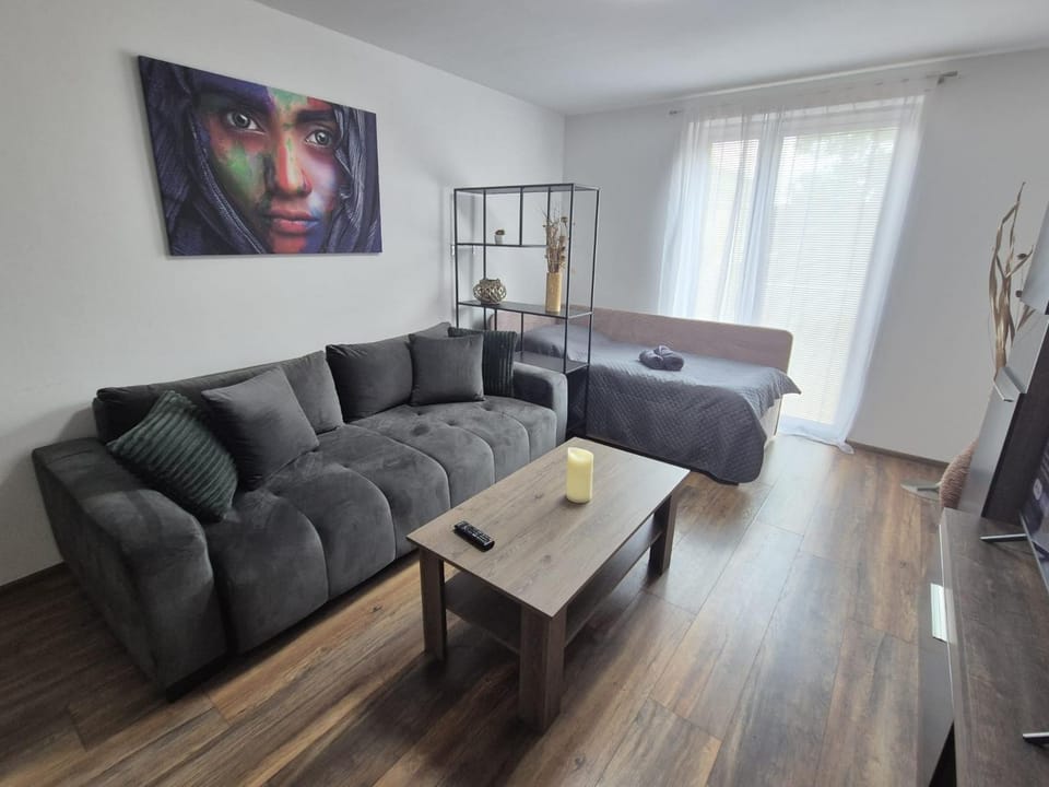 Apartman Centrum Mudronova Apartment in Slovakia