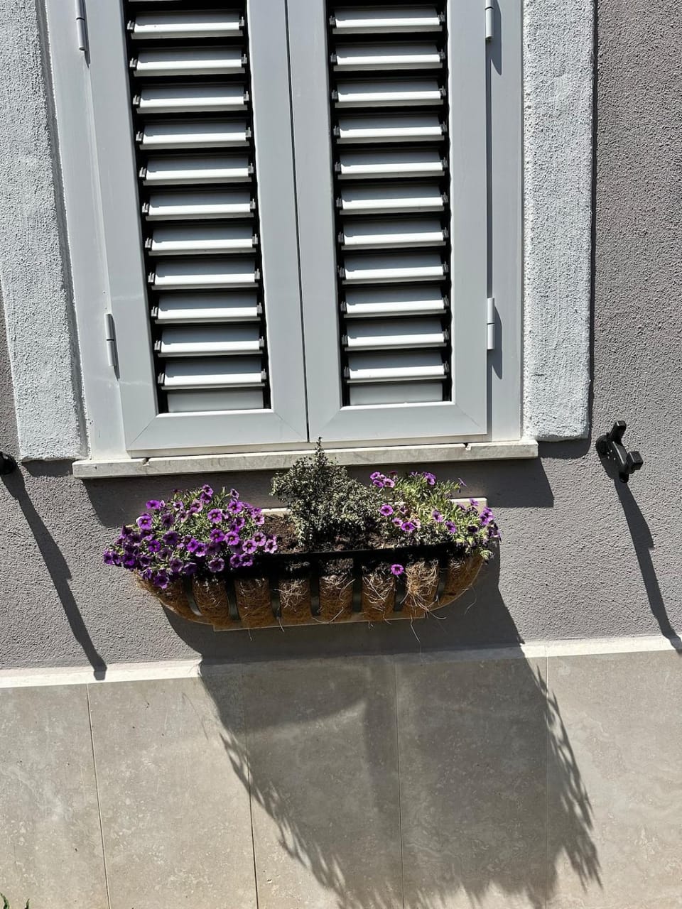 Le Case Col Sole da Silvia INTERNO 1 Bed and Breakfast in Lazio