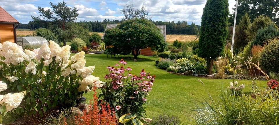 Natural landscape, Garden, Garden view