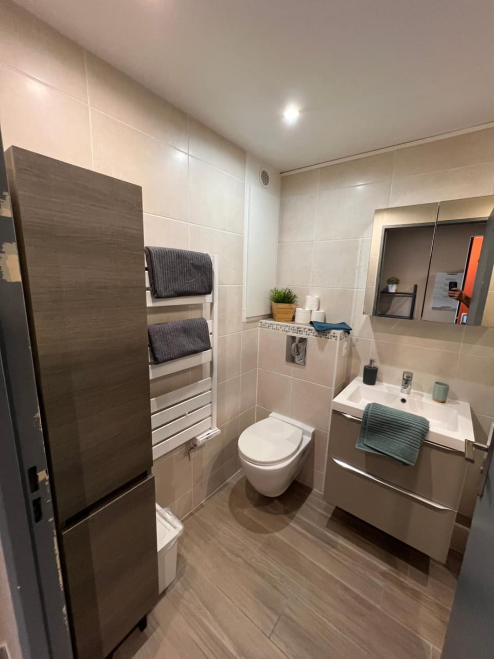 Toilet, Bathroom