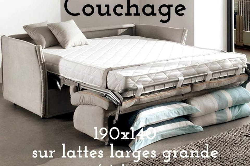 Jolie studio cosy à 2 pas du centre-ville Apartment in Montpellier