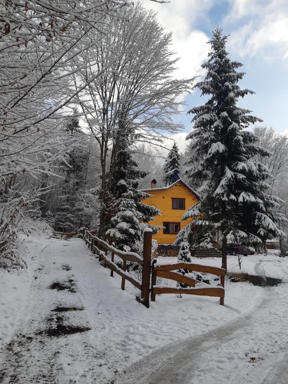 Property building, Winter