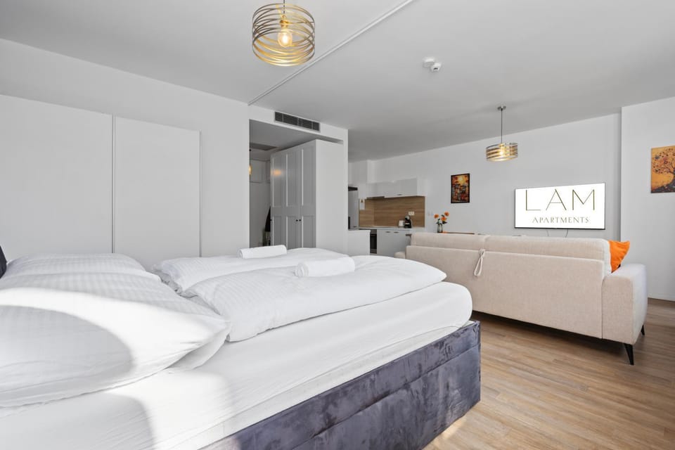 Bed, TV and multimedia, Living room, Photo of the whole room, Seating area, Bedroom, towels, wardrobe, air conditioner