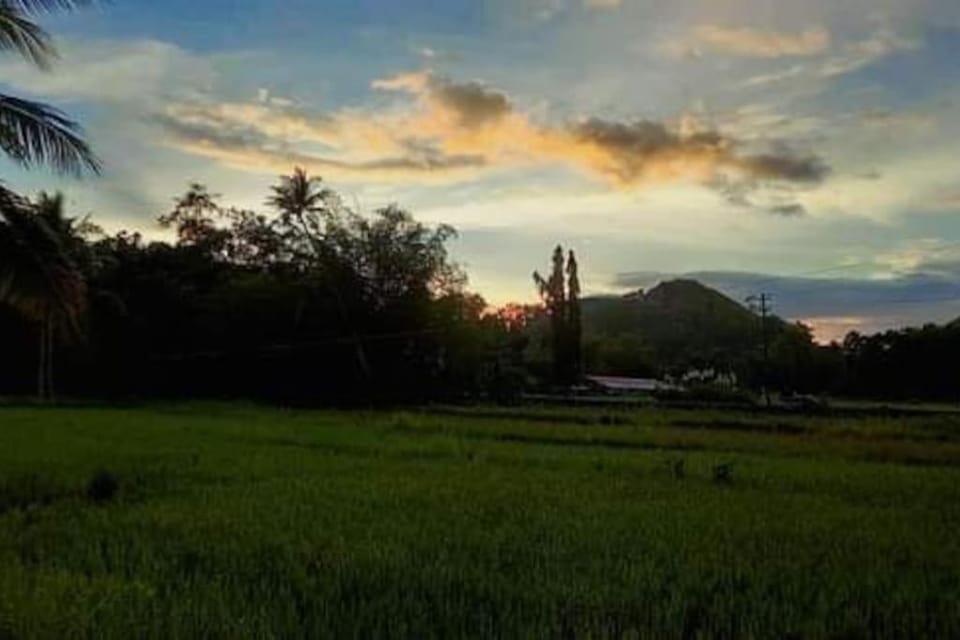 Bamboo Garden Tourist Inn House in Central Visayas