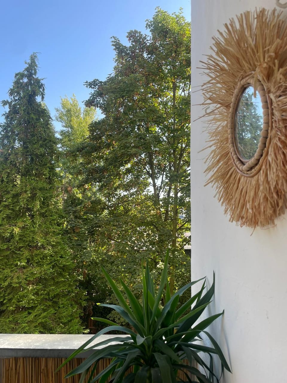 Garden view