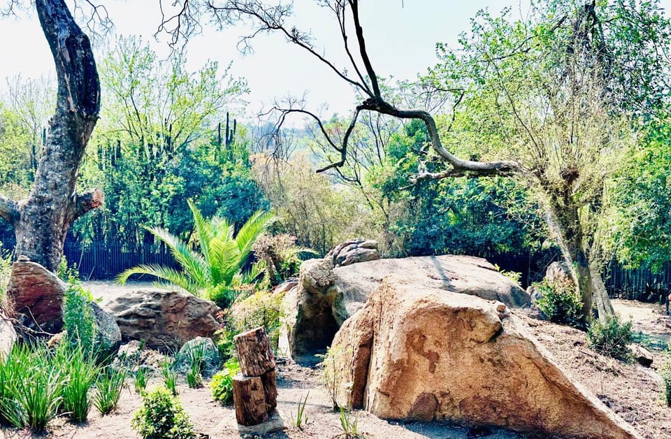 Hotel Vibes Ferndale Bed and Breakfast in Sandton