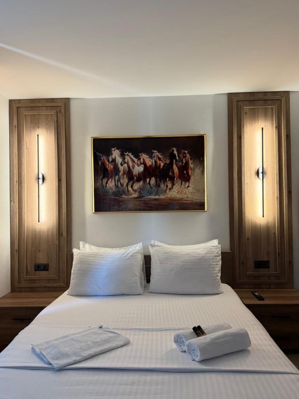 Hotel Palace Struga Hotel in Municipality of Ohrid, North Macedonia