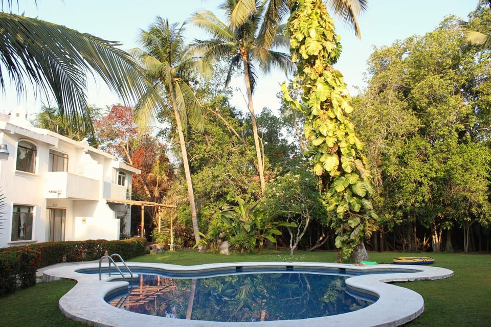 Swimming pool, Swimming pool