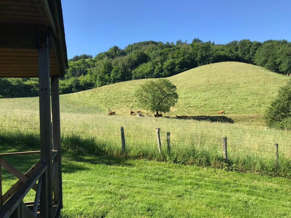 View (from property/room)