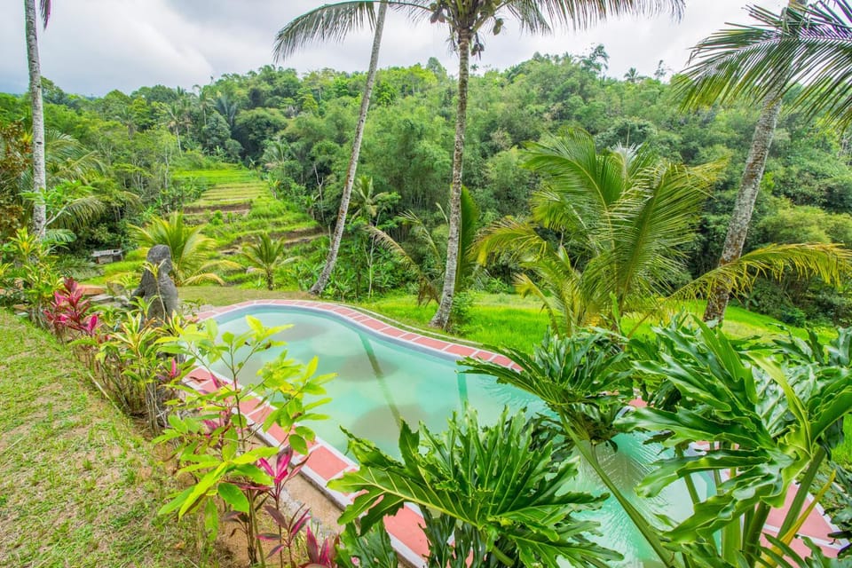Day, Natural landscape, Garden, Mountain view, Swimming pool