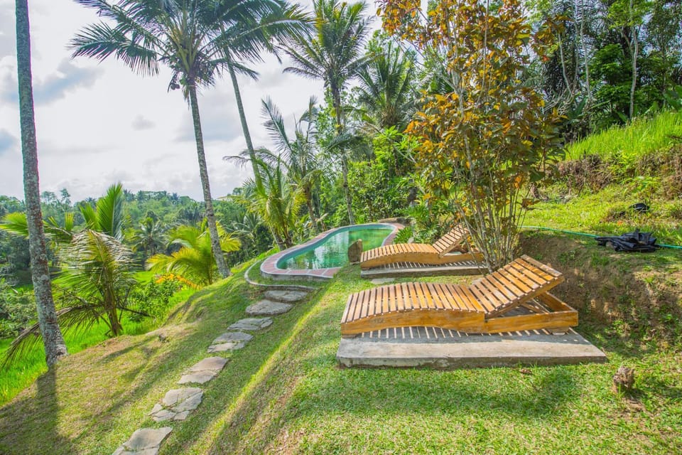 Day, Natural landscape, Garden, Area and facilities, sunbed