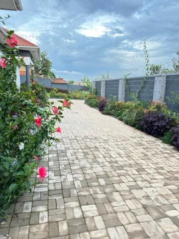 Spring, Garden, Garden view
