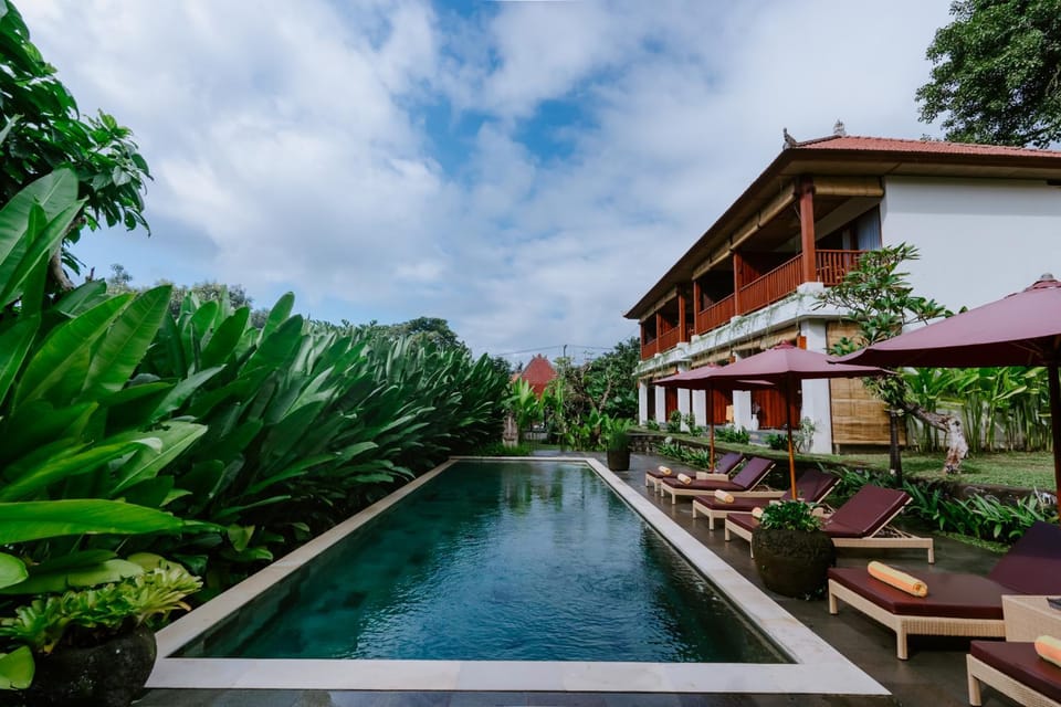 Property building, Natural landscape, Garden, Garden view, Pool view, Swimming pool