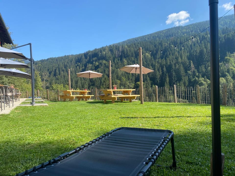 Day, Garden, Mountain view, sunbed