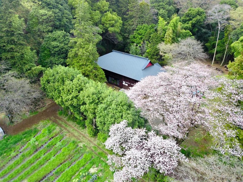 Spring, Natural landscape, Bird's eye view