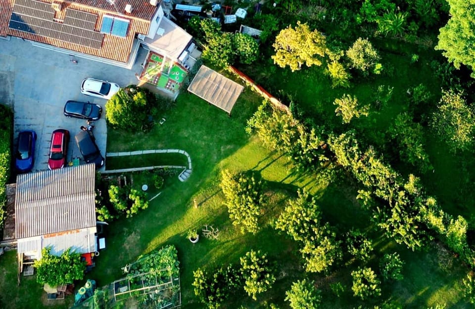 Bird's eye view, Garden, Garden