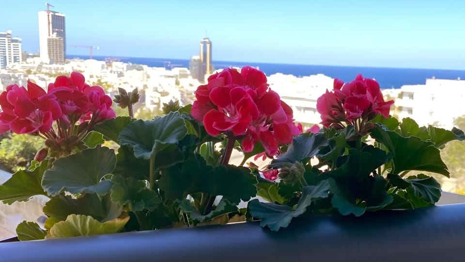View (from property/room), City view, Sea view, Sea view