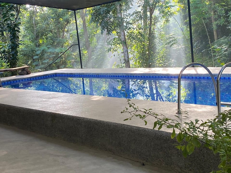 Day, Natural landscape, Garden view, Pool view, Swimming pool, Sunrise