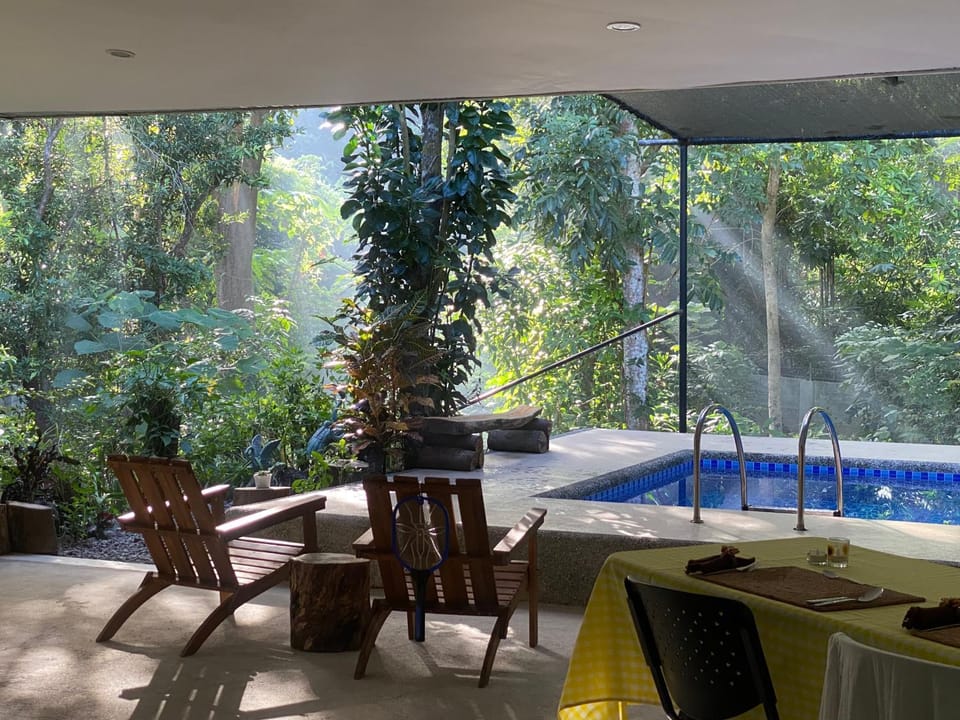 Patio, Day, Seating area, Dining area, Garden view, Pool view, Swimming pool, Sunrise, sunbed