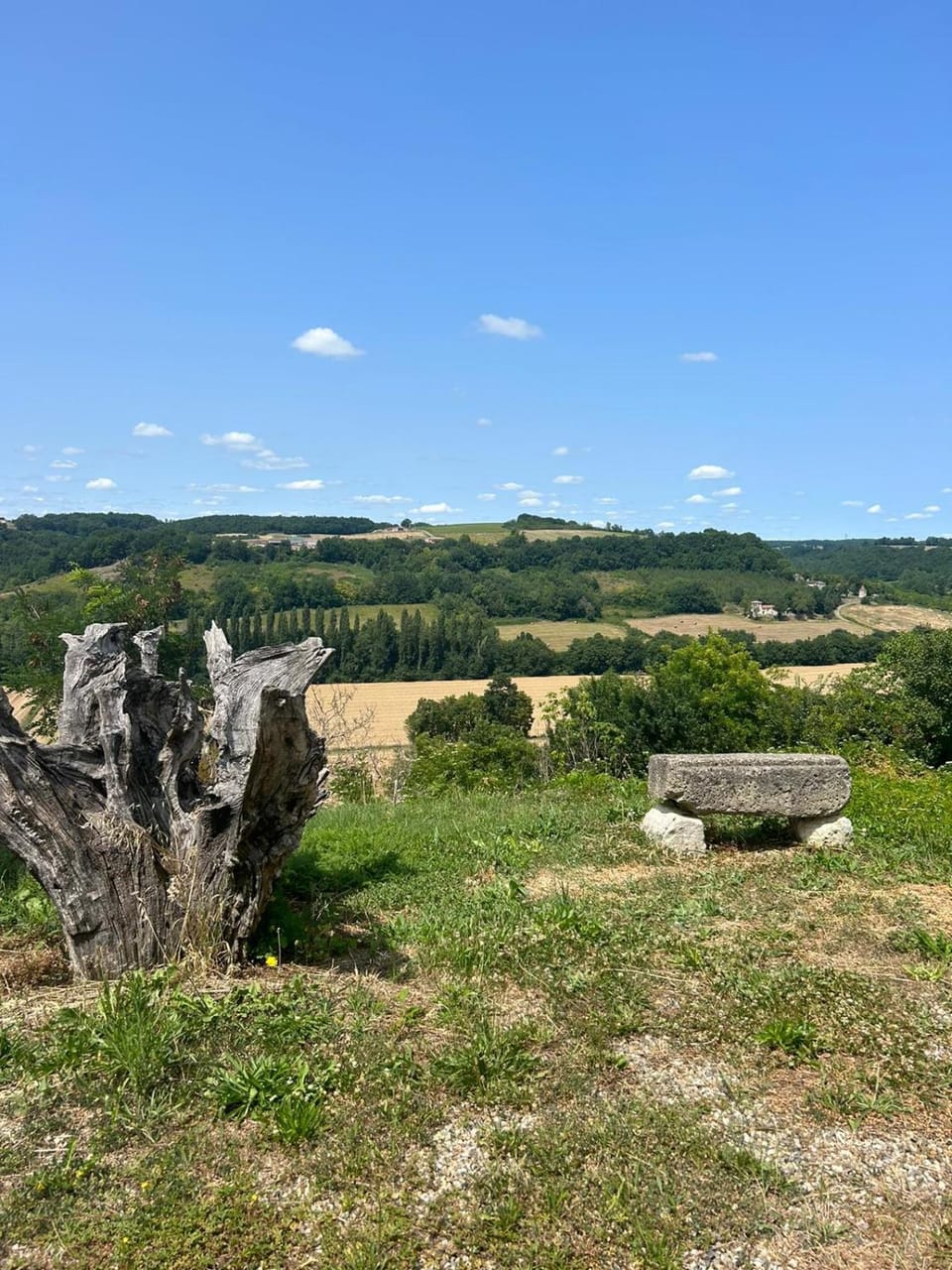 Natural landscape