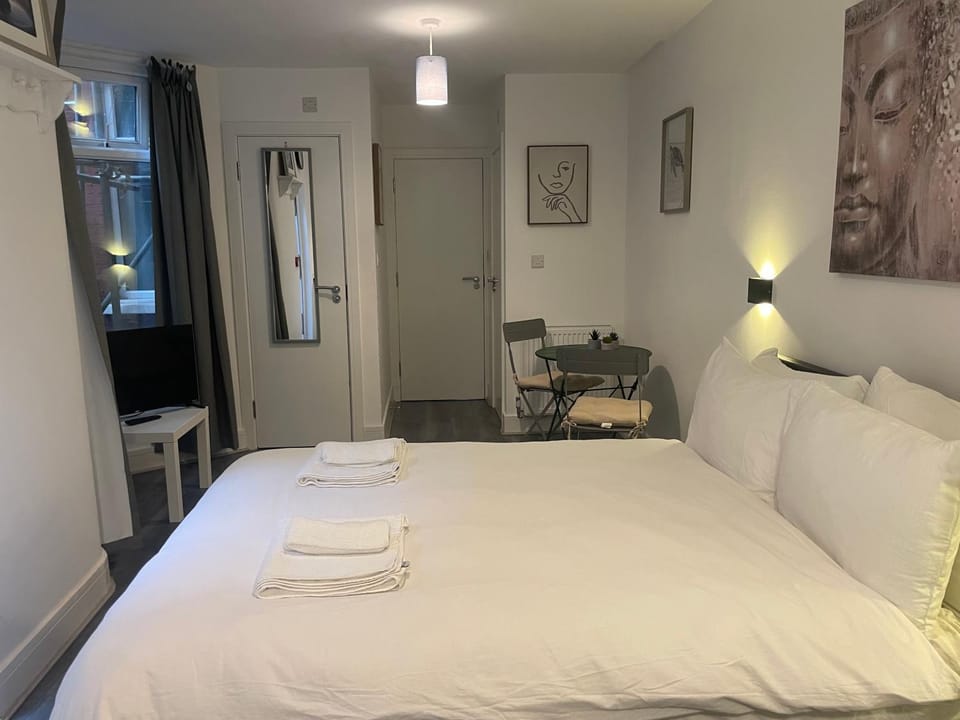 Amazing Studios 4 - East London Apartment in London