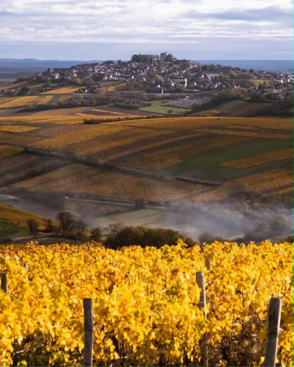 l'Eden du sancerrois Chalet in Centre-Val de Loire