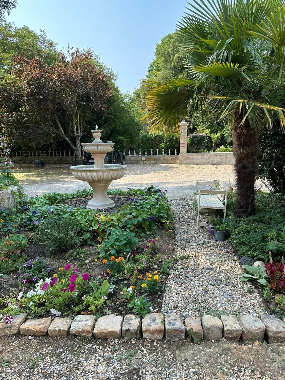 Garden view